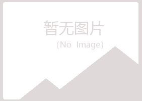 河津夏岚保险有限公司